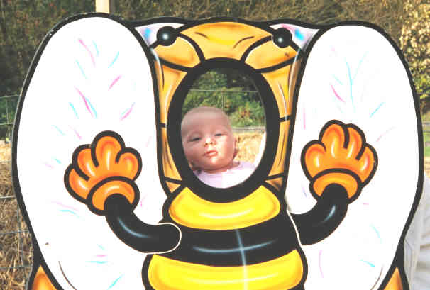 Bee Disguised